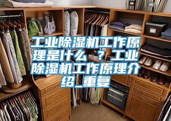 工業除濕機工作原理是什么 ？工業除濕機工作原理介紹_重復