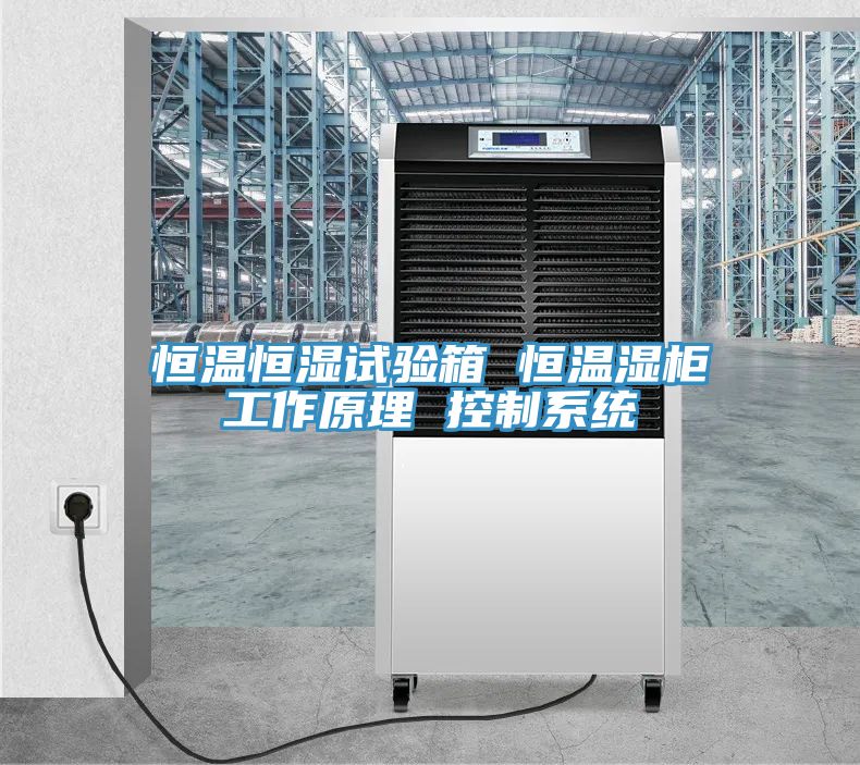 恒溫恒濕試驗箱 恒溫濕柜工作原理 控制系統