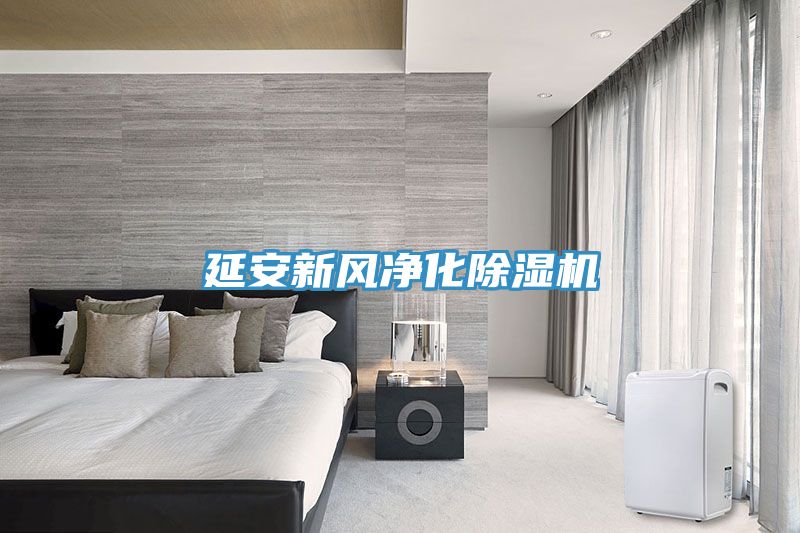 延安新風凈化除濕機