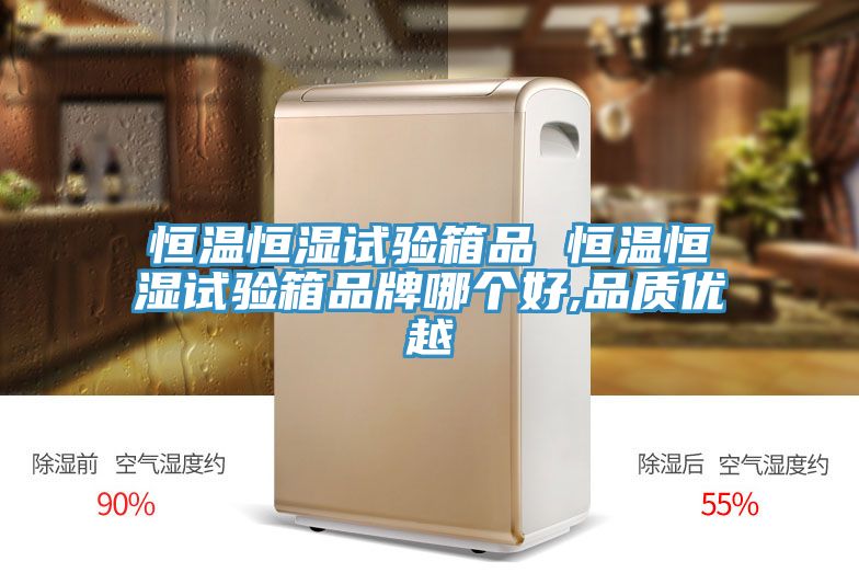 恒溫恒濕試驗箱品 恒溫恒濕試驗箱品牌哪個好,品質優越