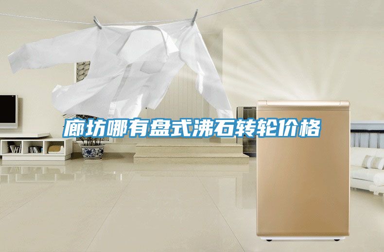 廊坊哪有盤式沸石轉輪價格