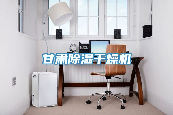 甘肅除濕干燥機