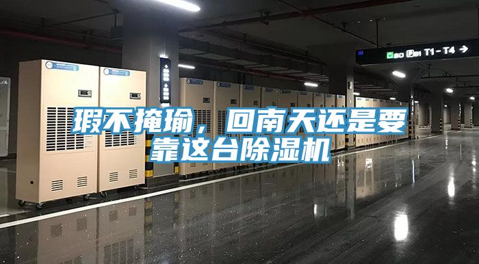 瑕不掩瑜，回南天還是要靠這臺除濕機