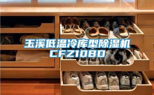 玉溪低溫冷庫型除濕機CFZ10BD