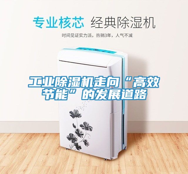 工業除濕機走向“高效節能”的發展道路