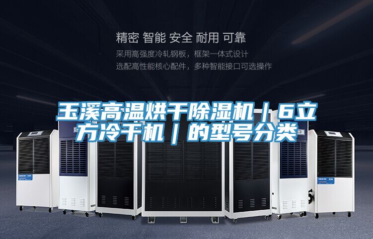 玉溪高溫烘干除濕機｜6立方冷干機｜的型號分類