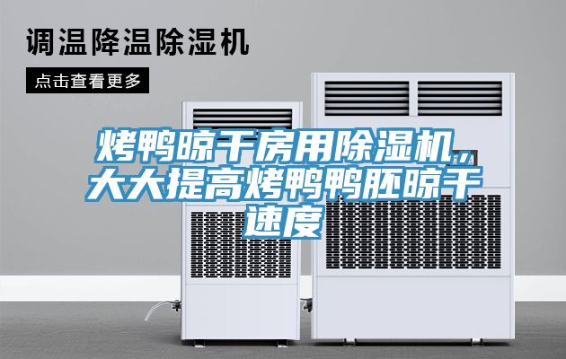烤鴨晾干房用除濕機，大大提高烤鴨鴨胚晾干速度