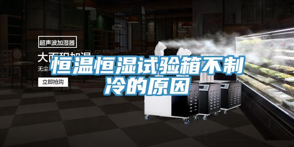 恒溫恒濕試驗箱不制冷的原因