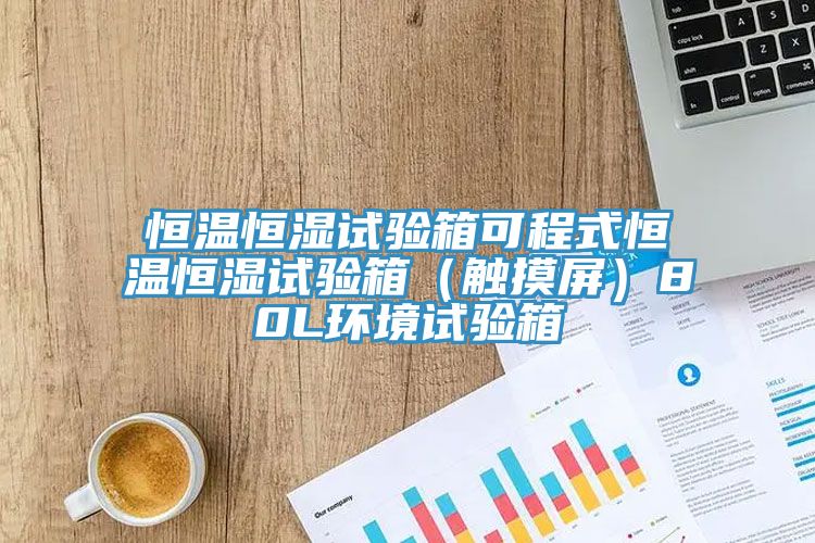 恒溫恒濕試驗箱可程式恒溫恒濕試驗箱（觸摸屏）80L環境試驗箱