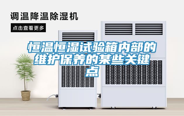恒溫恒濕試驗箱內部的維護保養的某些關鍵點