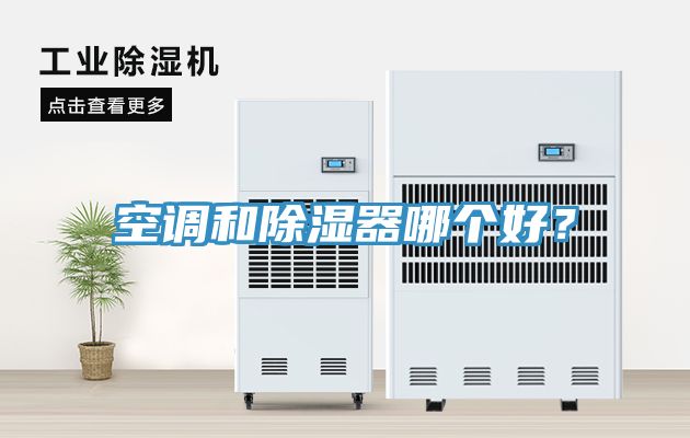 空調和除濕器哪個好？