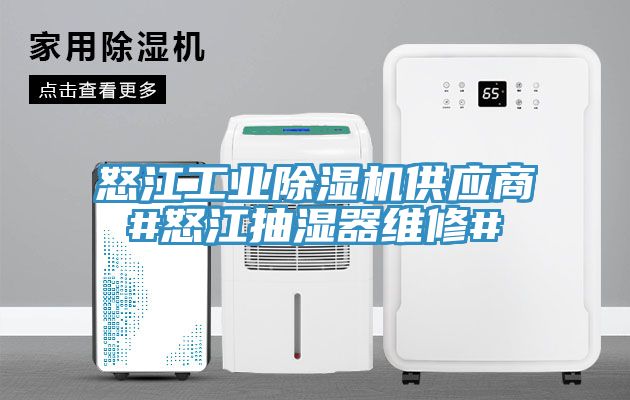 怒江工業除濕機供應商#怒江抽濕器維修#
