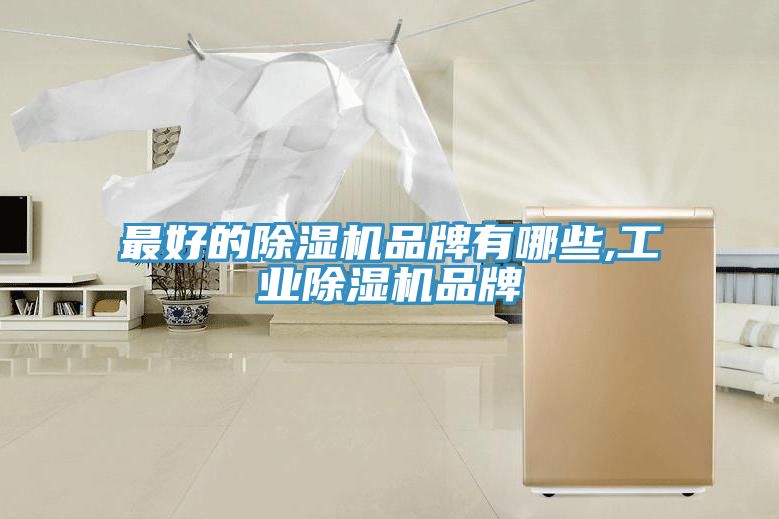 最好的除濕機品牌有哪些,工業除濕機品牌
