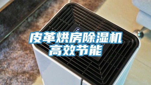 皮革烘房除濕機高效節能