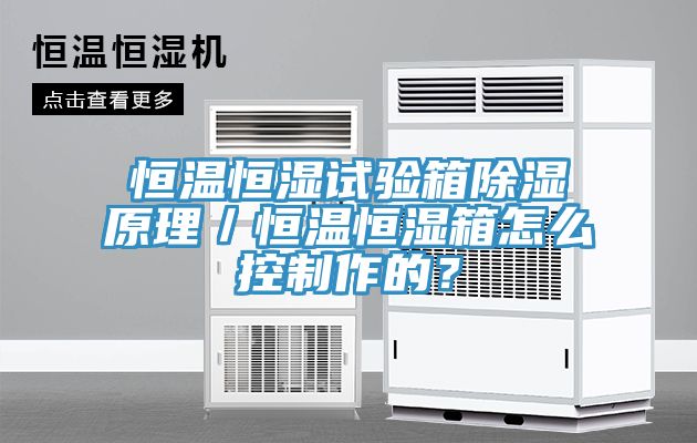 恒溫恒濕試驗箱除濕原理／恒溫恒濕箱怎么控制作的？