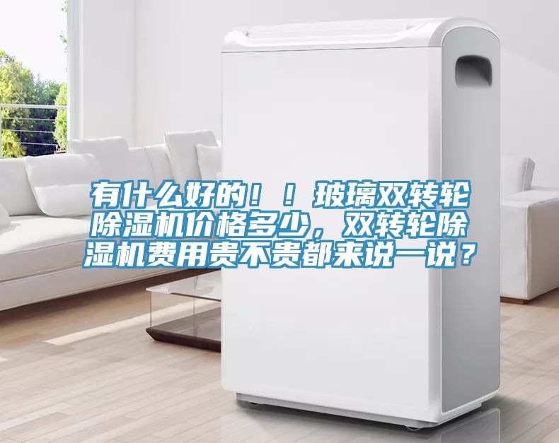 有什么好的??！玻璃雙轉輪除濕機價格多少，雙轉輪除濕機費用貴不貴都來說一說？