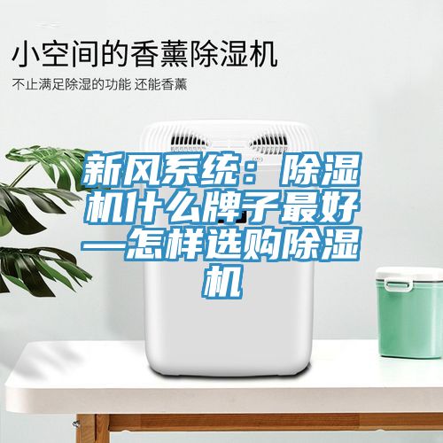 新風系統：除濕機什么牌子最好—怎樣選購除濕機