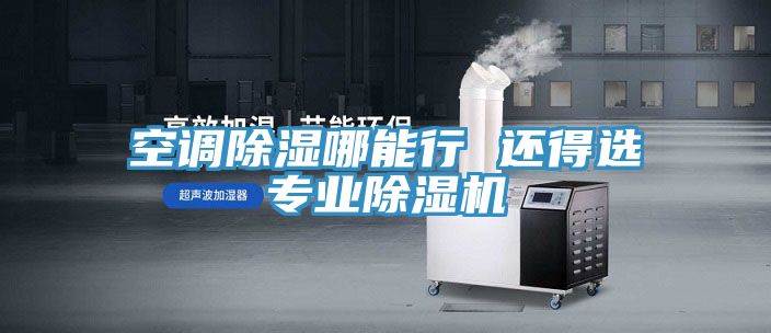 空調除濕哪能行 還得選專業除濕機