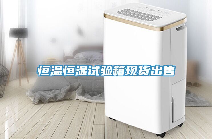 恒溫恒濕試驗箱現貨出售