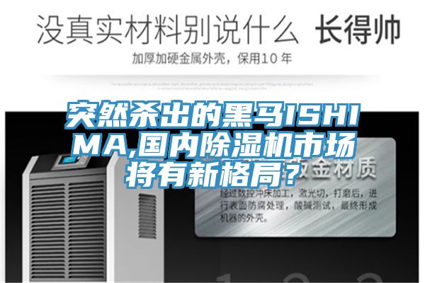 突然殺出的黑馬ISHIMA,國內除濕機市場將有新格局？
