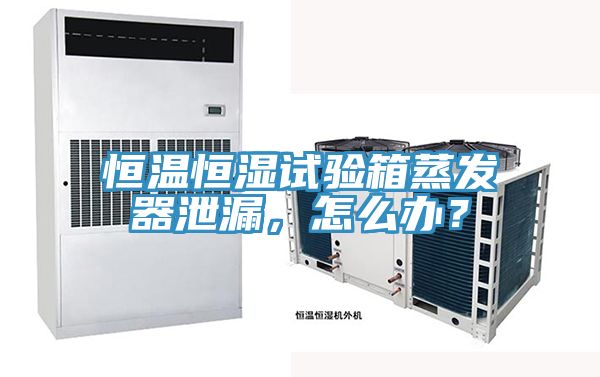 恒溫恒濕試驗箱蒸發器泄漏，怎么辦？