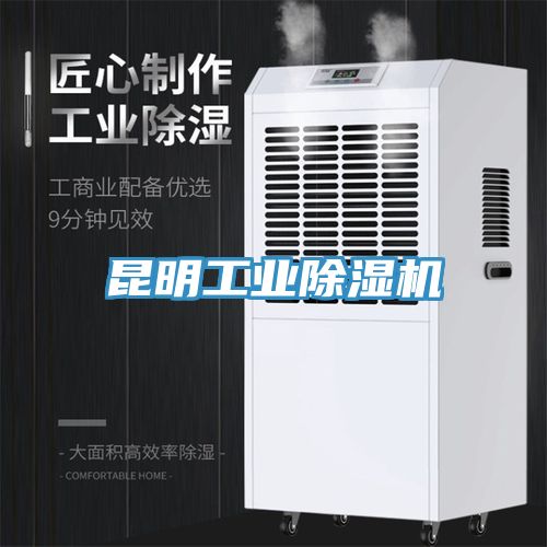 昆明工業除濕機