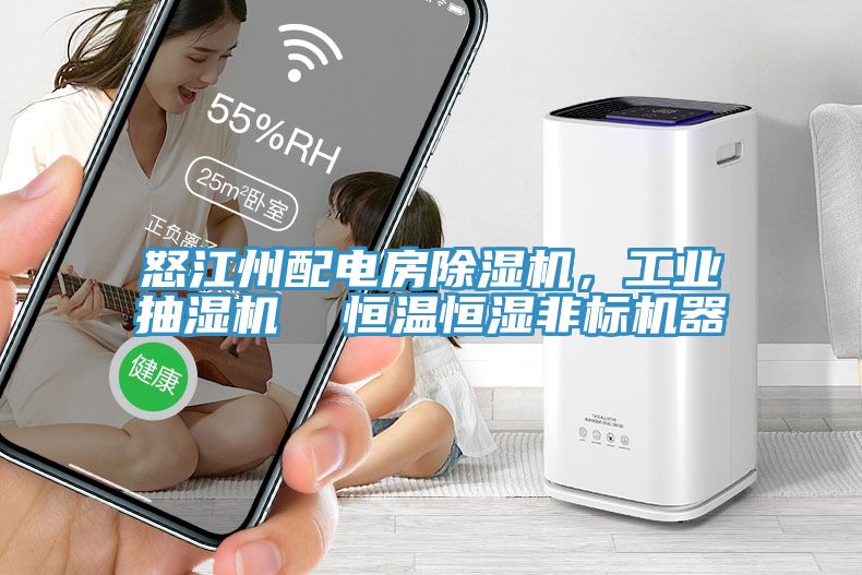 怒江州配電房除濕機，工業抽濕機  恒溫恒濕非標機器