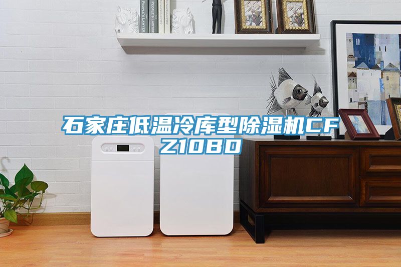石家莊低溫冷庫型除濕機CFZ10BD