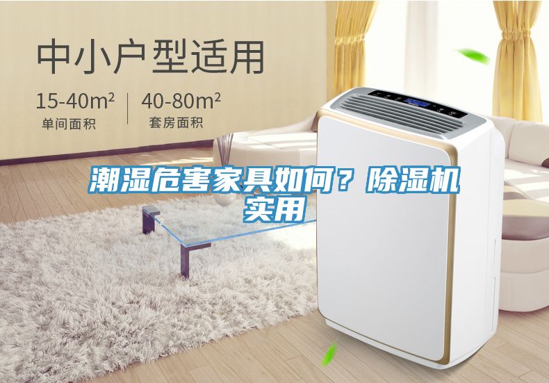 潮濕危害家具如何？除濕機實用