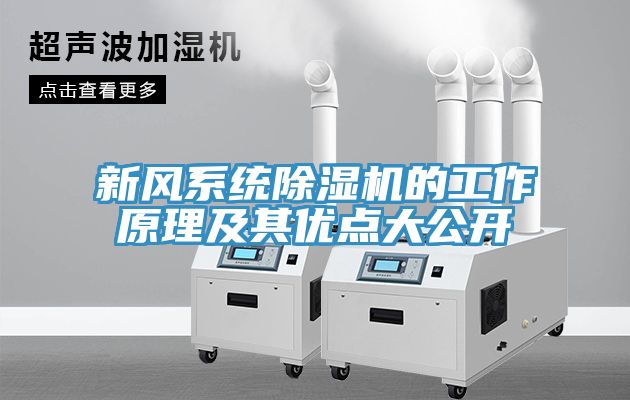 新風系統除濕機的工作原理及其優點大公開