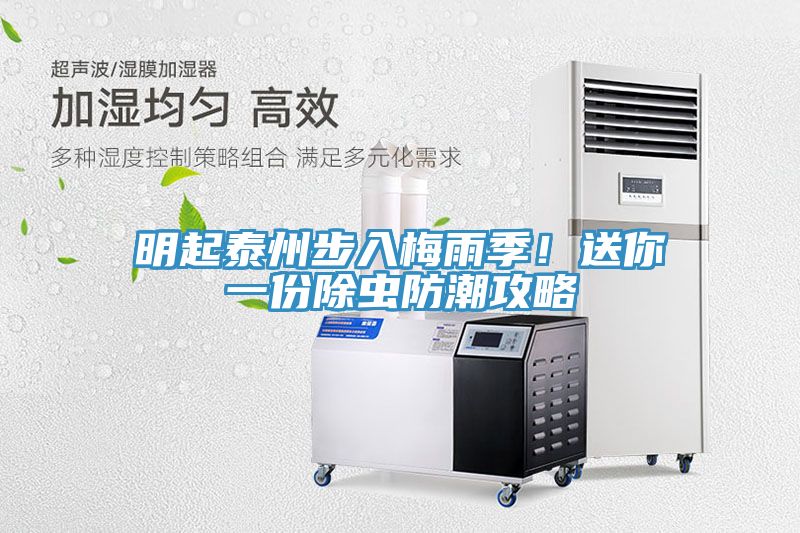 明起泰州步入梅雨季！送你一份除蟲防潮攻略