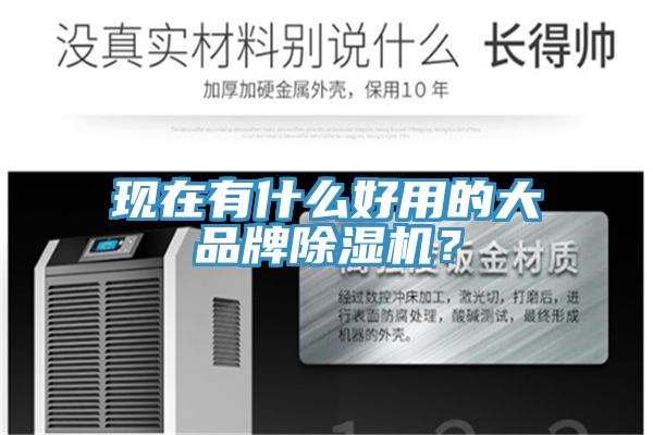 現在有什么好用的大品牌除濕機？