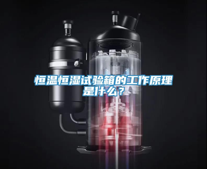 恒溫恒濕試驗箱的工作原理是什么？
