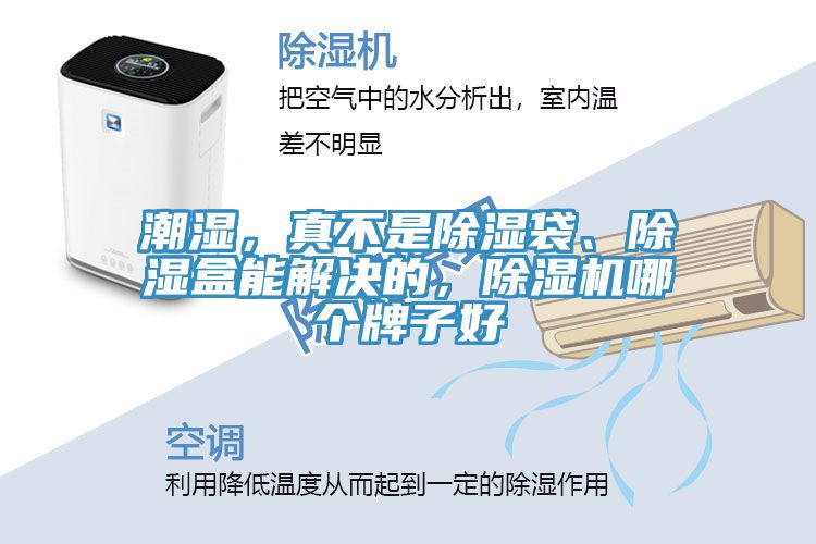 潮濕，真不是除濕袋、除濕盒能解決的，除濕機哪個牌子好