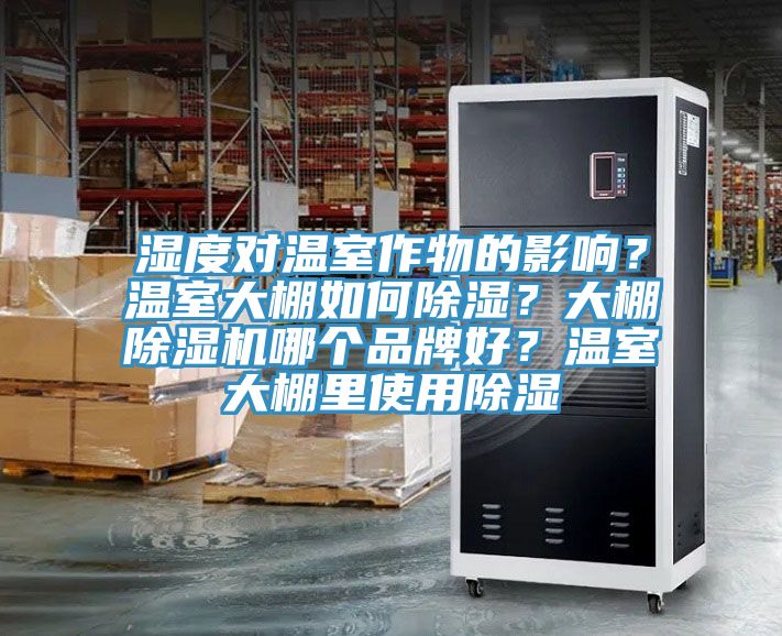 濕度對溫室作物的影響？溫室大棚如何除濕？大棚除濕機哪個品牌好？溫室大棚里使用除濕