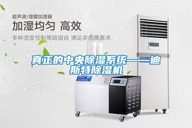 真正的中央除濕系統——迪斯特除濕機