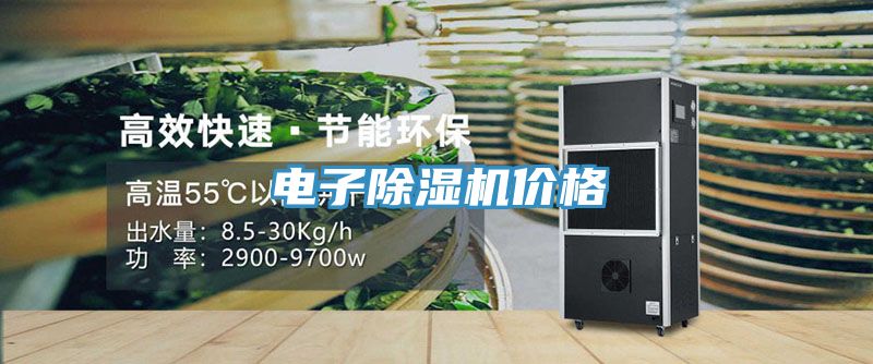 電子除濕機價格