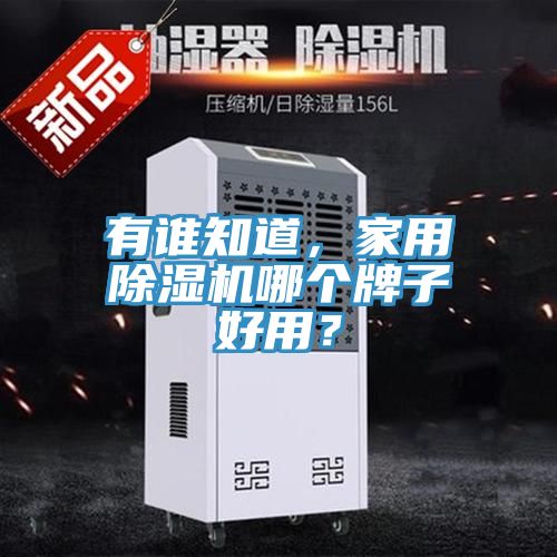 有誰知道，家用除濕機哪個牌子好用？