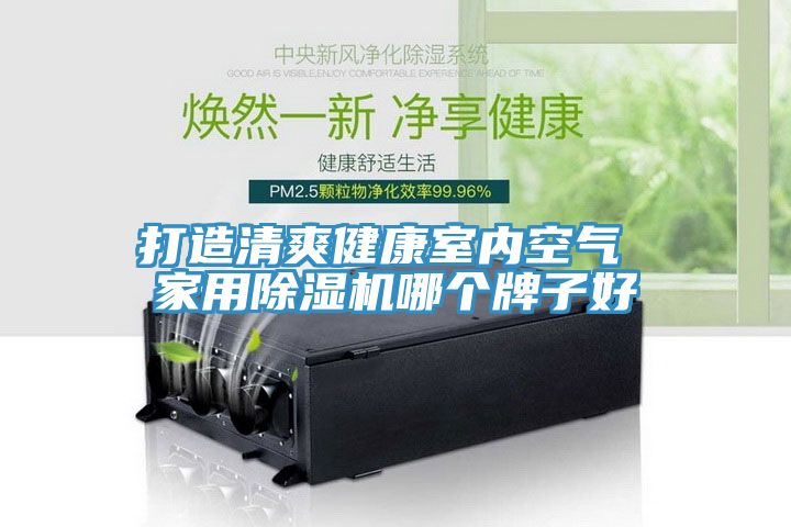 打造清爽健康室內空氣 家用除濕機哪個牌子好