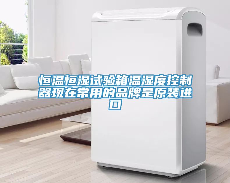 恒溫恒濕試驗箱溫濕度控制器現在常用的品牌是原裝進口