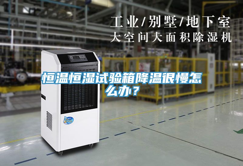 恒溫恒濕試驗箱降溫很慢怎么辦？