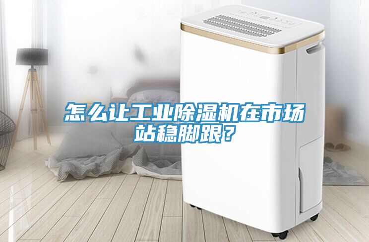 怎么讓工業除濕機在市場站穩腳跟？