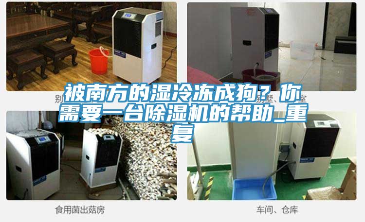 被南方的濕冷凍成狗？你需要一臺除濕機的幫助_重復