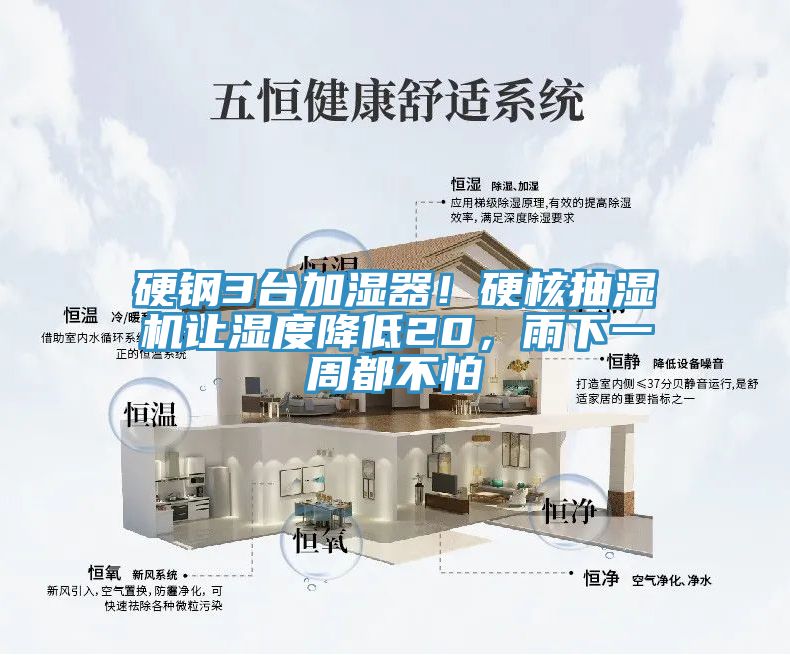 硬鋼3臺加濕器！硬核抽濕機讓濕度降低20，雨下一周都不怕