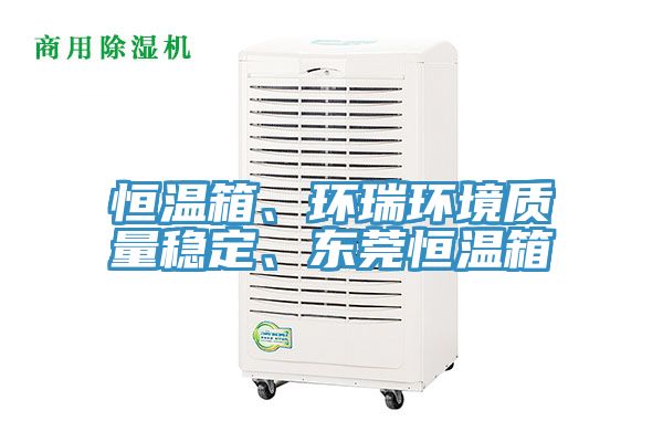 恒溫箱、環瑞環境質量穩定、東莞恒溫箱