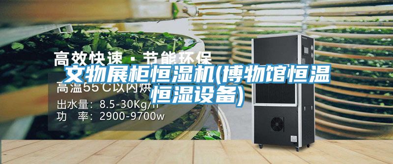 文物展柜恒濕機(博物館恒溫恒濕設備)