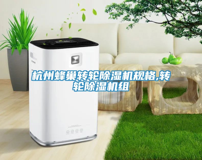 杭州蜂巢轉輪除濕機規格,轉輪除濕機組