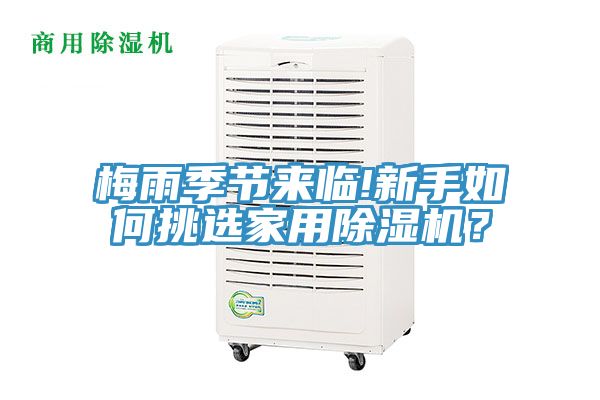 梅雨季節來臨!新手如何挑選家用除濕機？