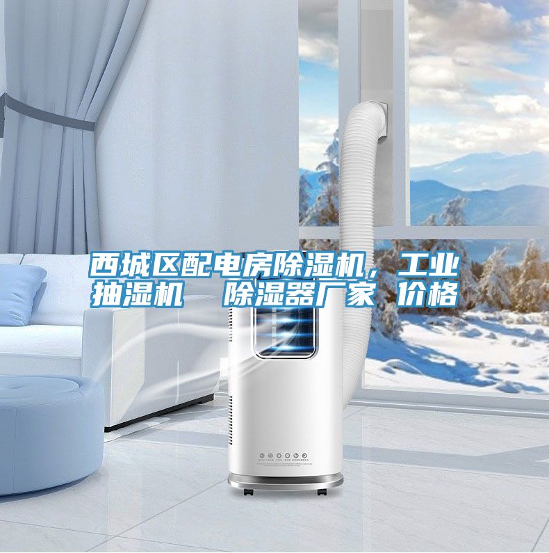 西城區配電房除濕機，工業抽濕機  除濕器廠家 價格