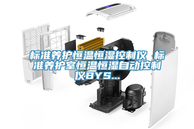 標準養護恒溫恒濕控制儀 標準養護室恒溫恒濕自動控制儀BYS...